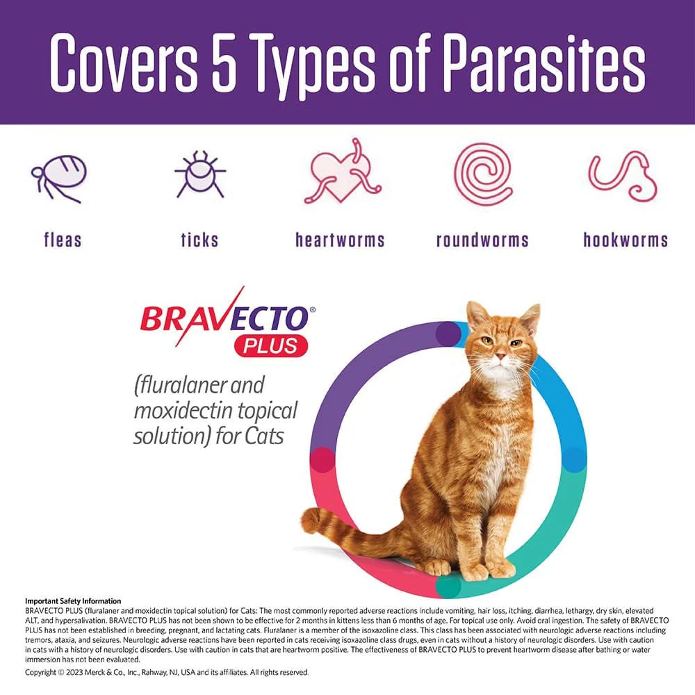 Rx BRAVECTO Plus Topical for Cats - Image 6