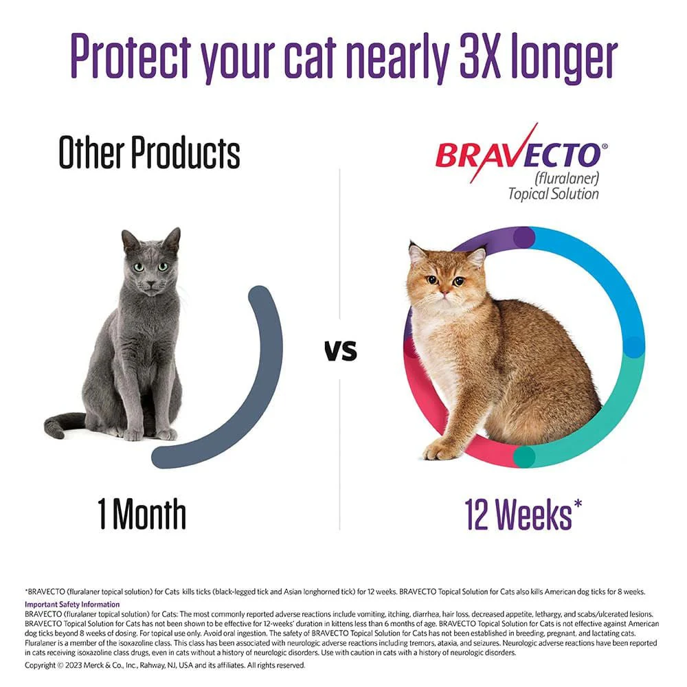 Rx BRAVECTO Feline Topical for Cats - Image 5