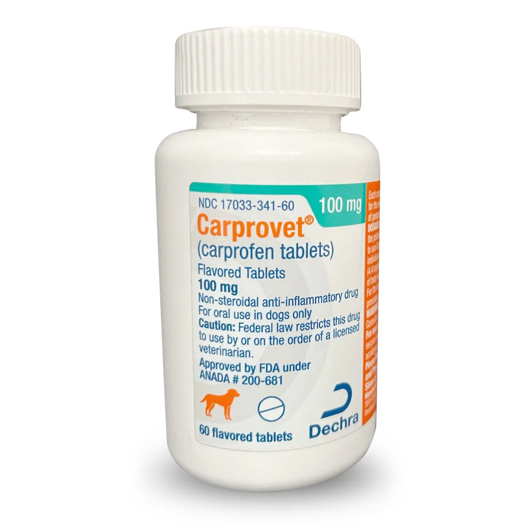Rx Carprovet (carprofen) Flavored Tablets for Dogs, Pain Relief & Anti-Inflammatory - Image 8