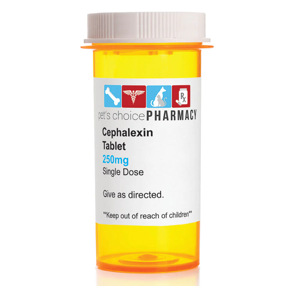 Rx Cephalexin (Generic) Tablets for Cats & Dogs
