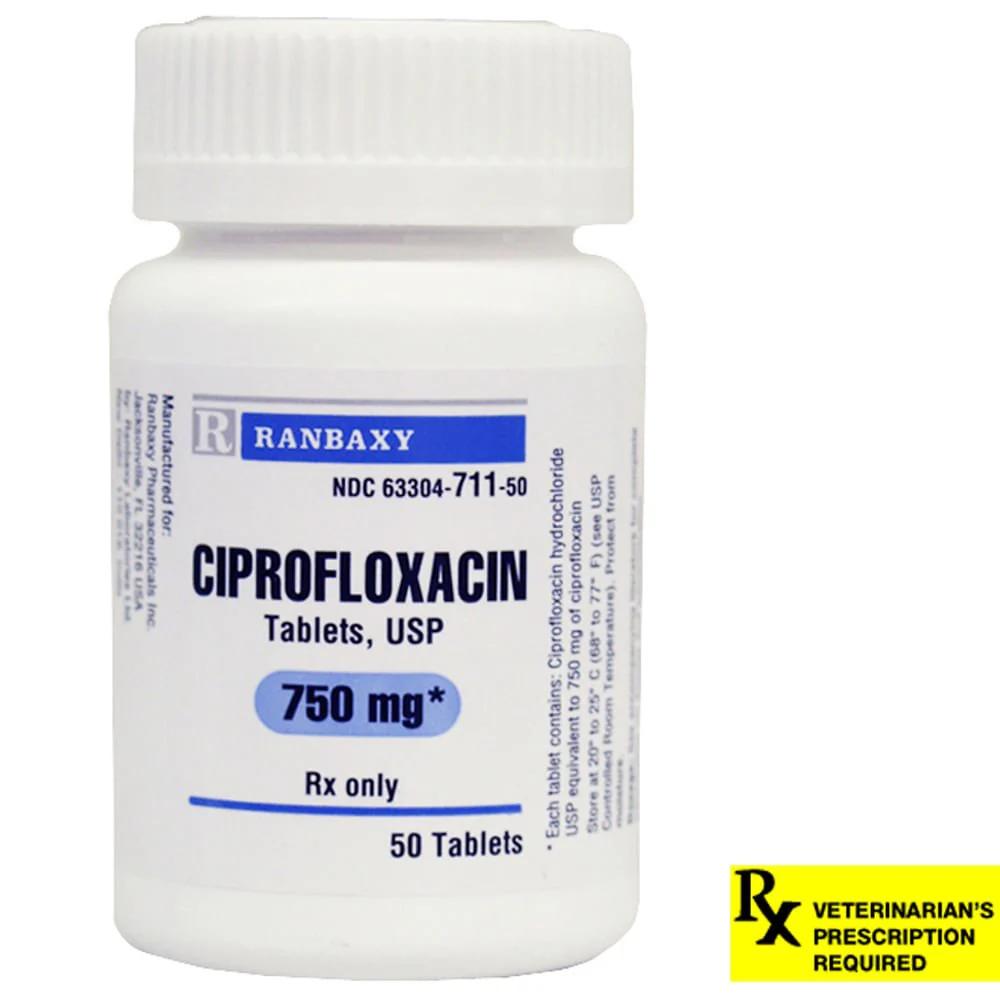 Rx Ciprofloxacin HCl (Generic) Tablets for Dogs & Cats - Image 5