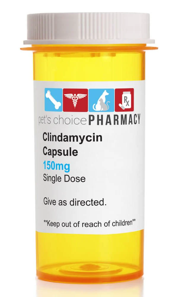 Rx Clindamycin HCl (Generic) Capsules for Dogs - Image 4