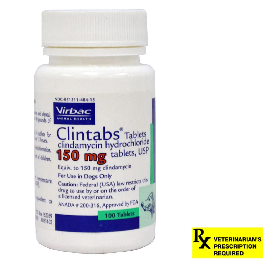 Rx Clindamycin (Generic) Tablets for Dogs - Image 2