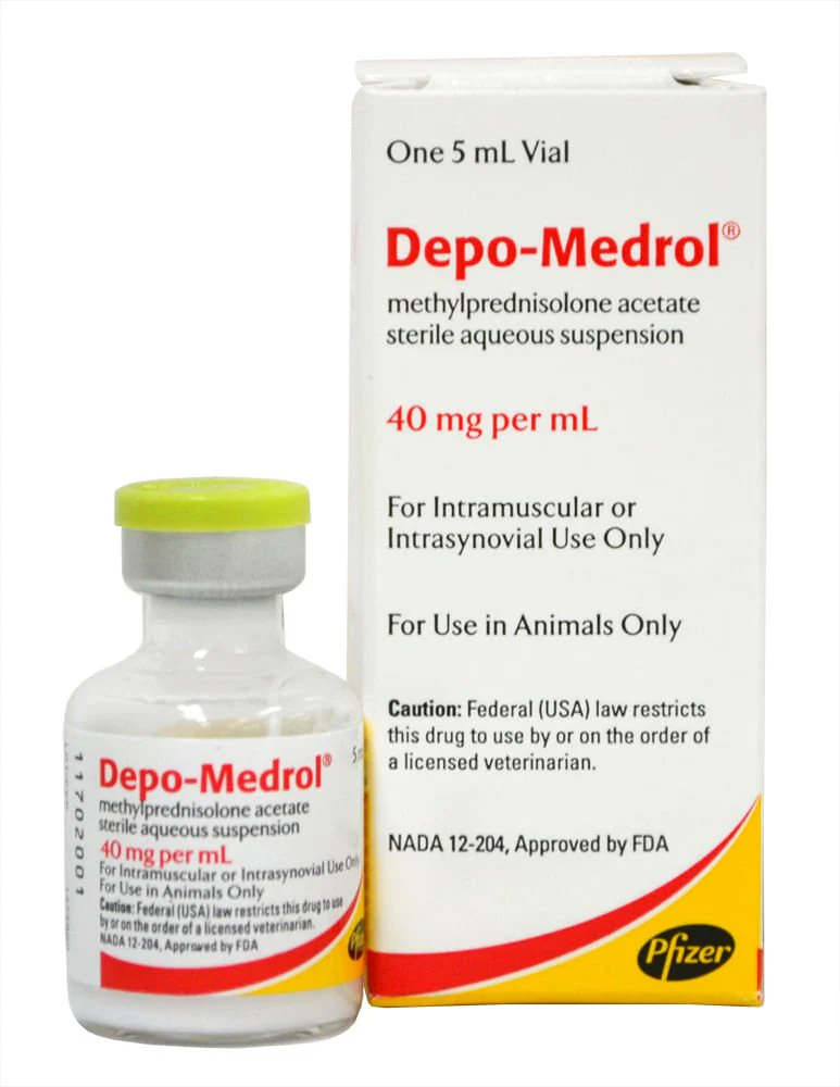 Rx Depo-MedrolĀ® Injection for Dogs, Cats, & Horses - Image 2