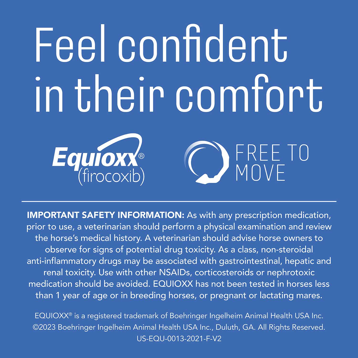 Rx Equioxx (firocoxib) Oral Paste for Horses, 6.93 gram Syringes - Image 6