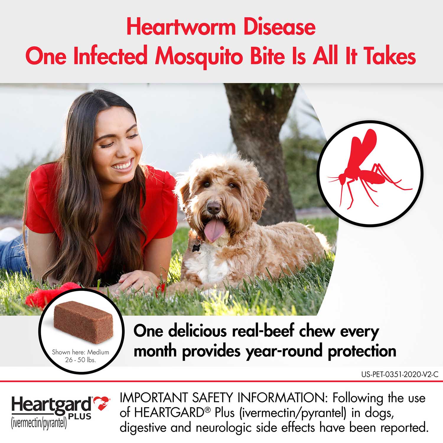 Rx Heartgard Plus (ivermectin/pyrantel) Monthly Chewables — Effective Heartworm & Parasite Prevention for Dogs Puppies - Image 6