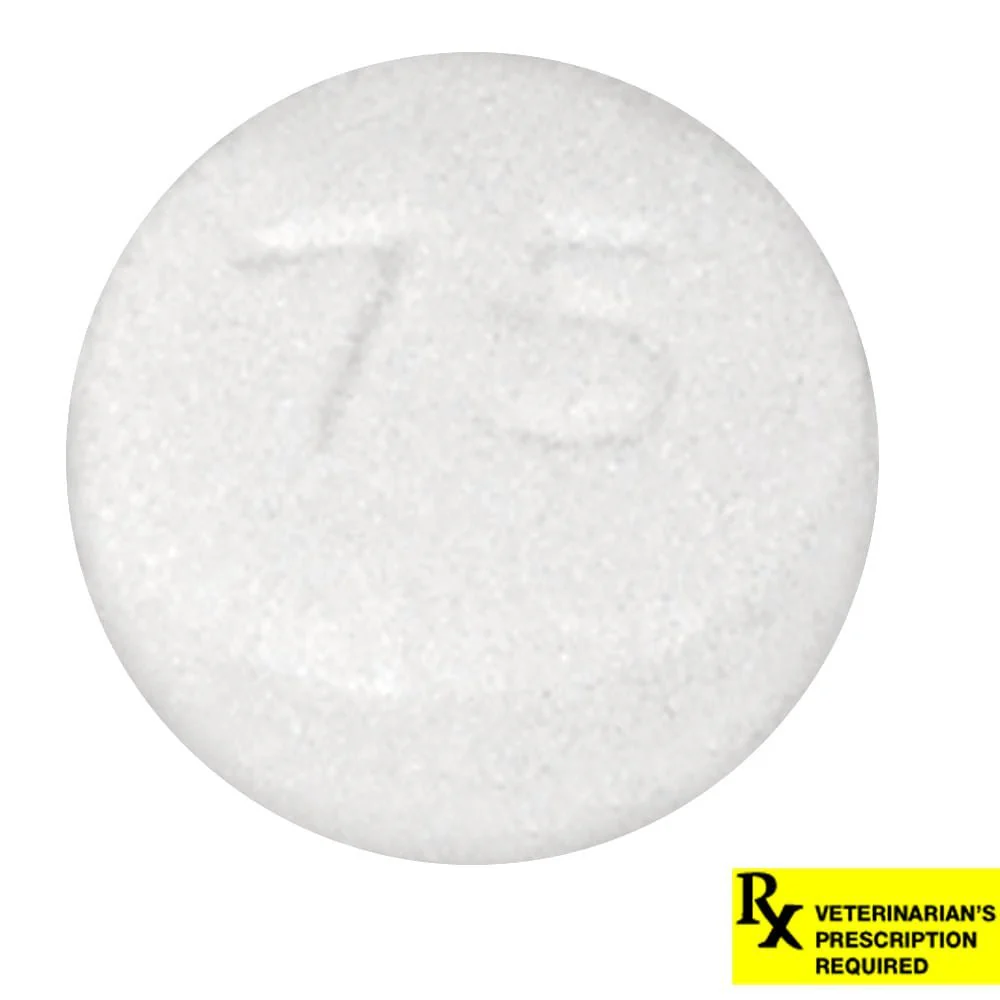 Rx Hydroxyzine HCl (Generic) Tablets for Dogs & Cats - Image 8
