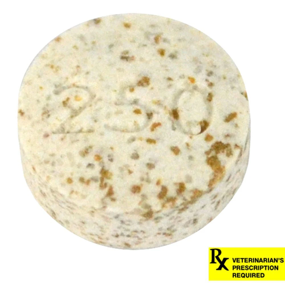 Rx K-BroVet (potassium bromide) Chewable Tablet for Dogs, Single Tab - Image 2