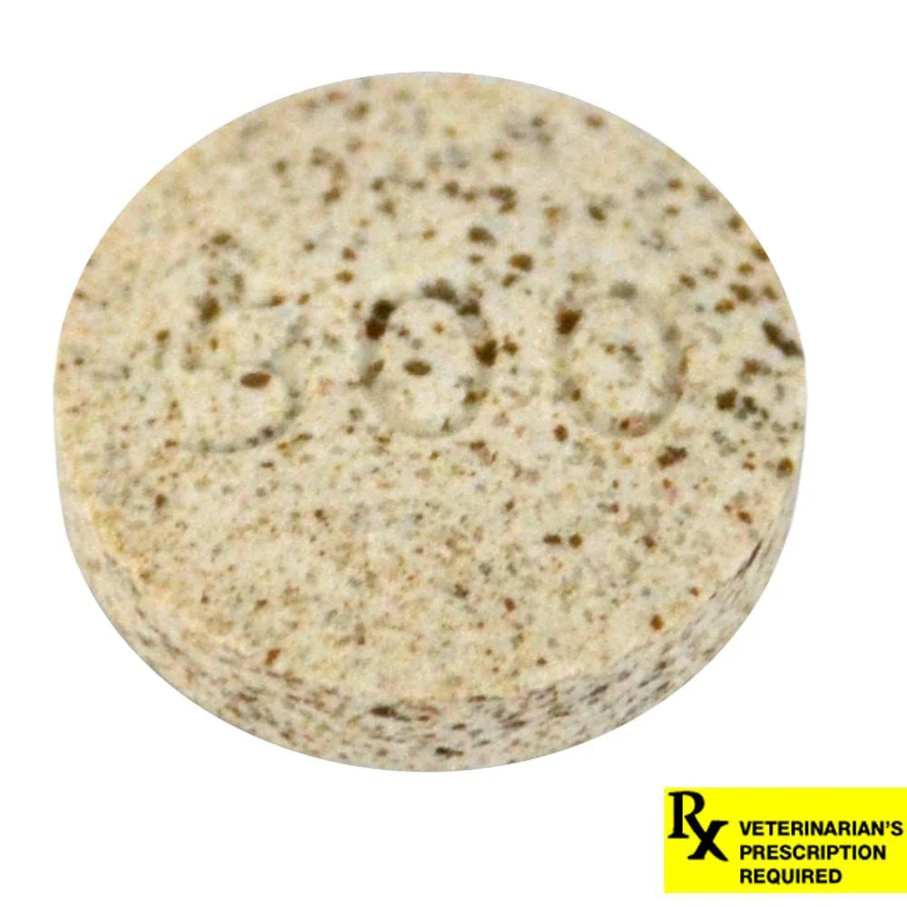 Rx K-BroVet (potassium bromide) Chewable Tablet for Dogs, Single Tab - Image 3
