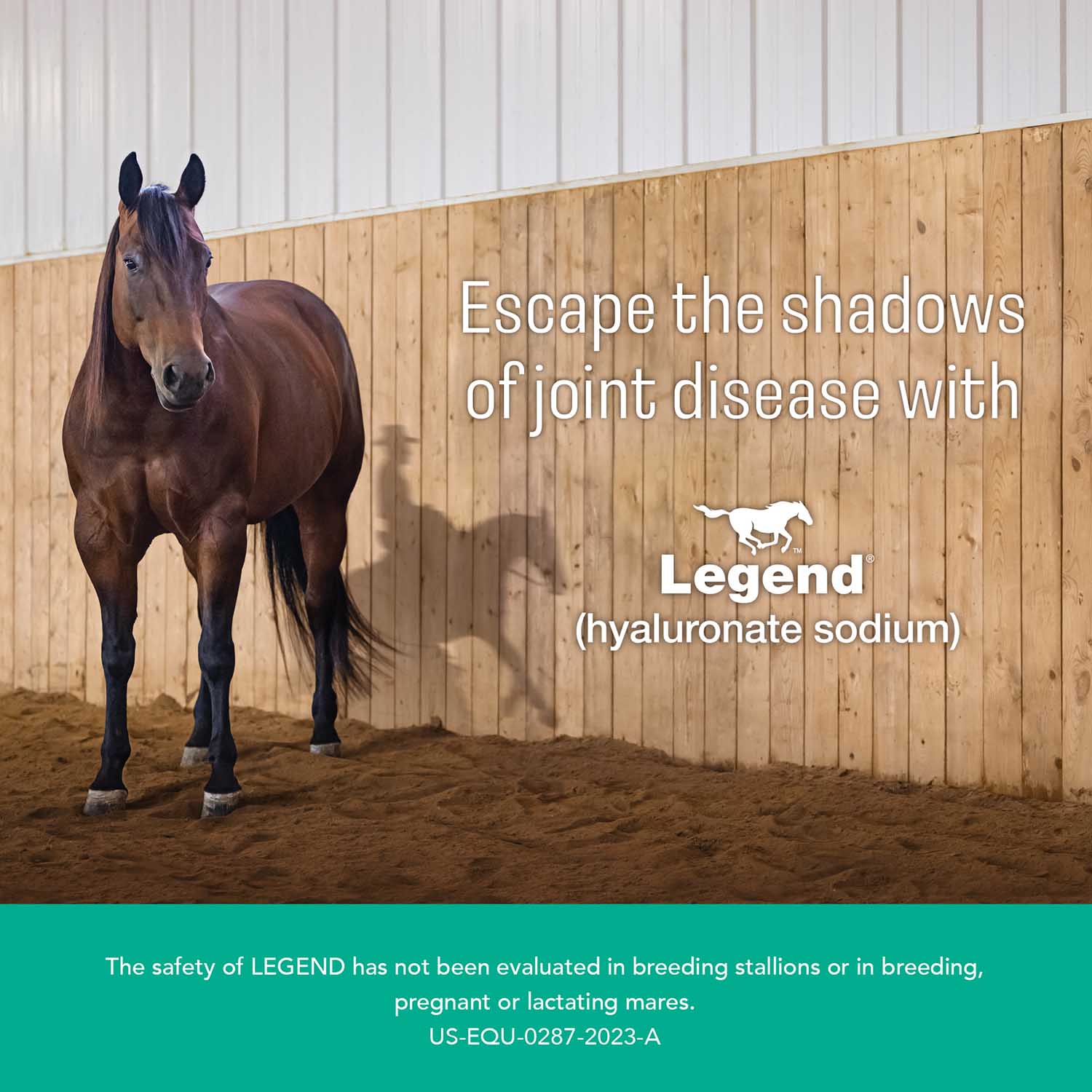 Rx Legend (hyaluronate sodium) Injectable Solution for Horses - Image 11