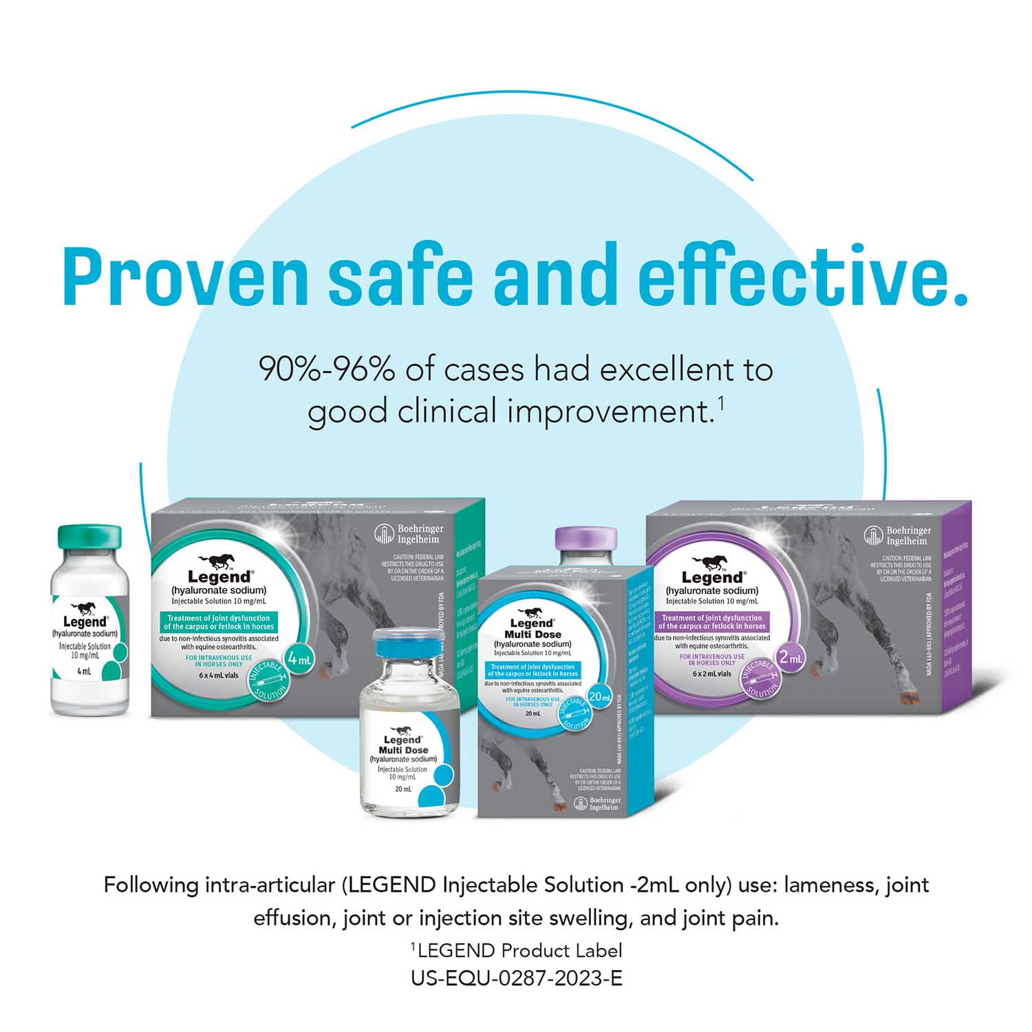 Rx Legend (hyaluronate sodium) Injectable Solution for Horses - Image 7