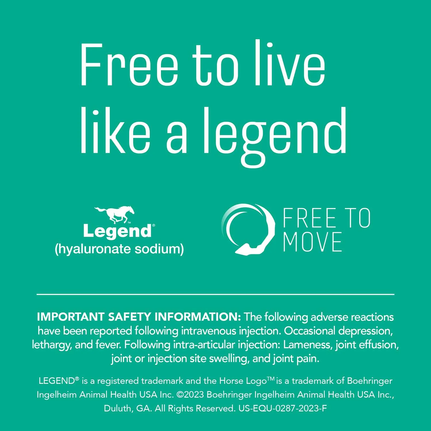 Rx Legend (hyaluronate sodium) Injectable Solution for Horses - Image 8