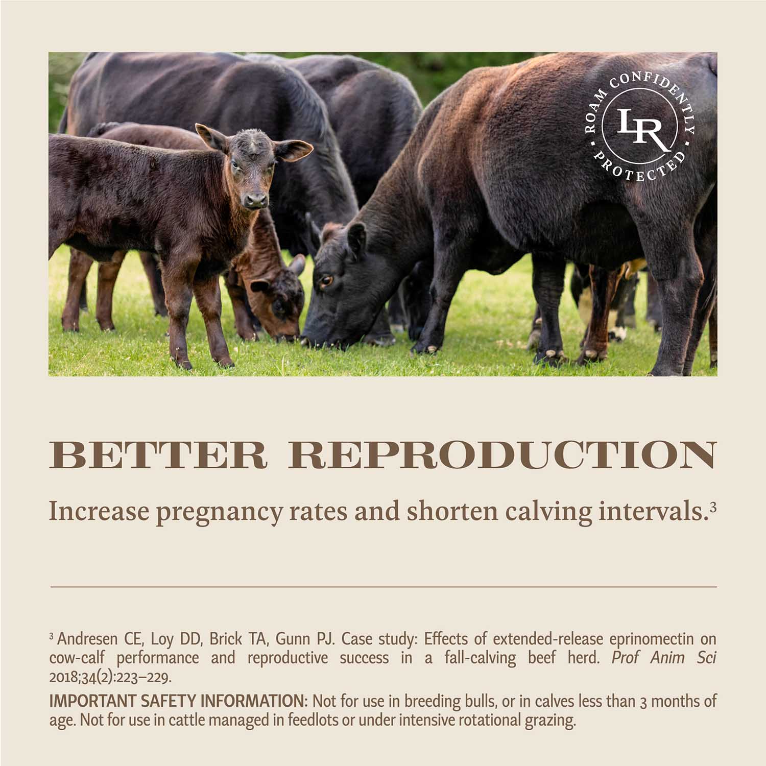 Rx LongRange (eprinomectin) ERI Extended-Release Injection for Cattle - Image 6