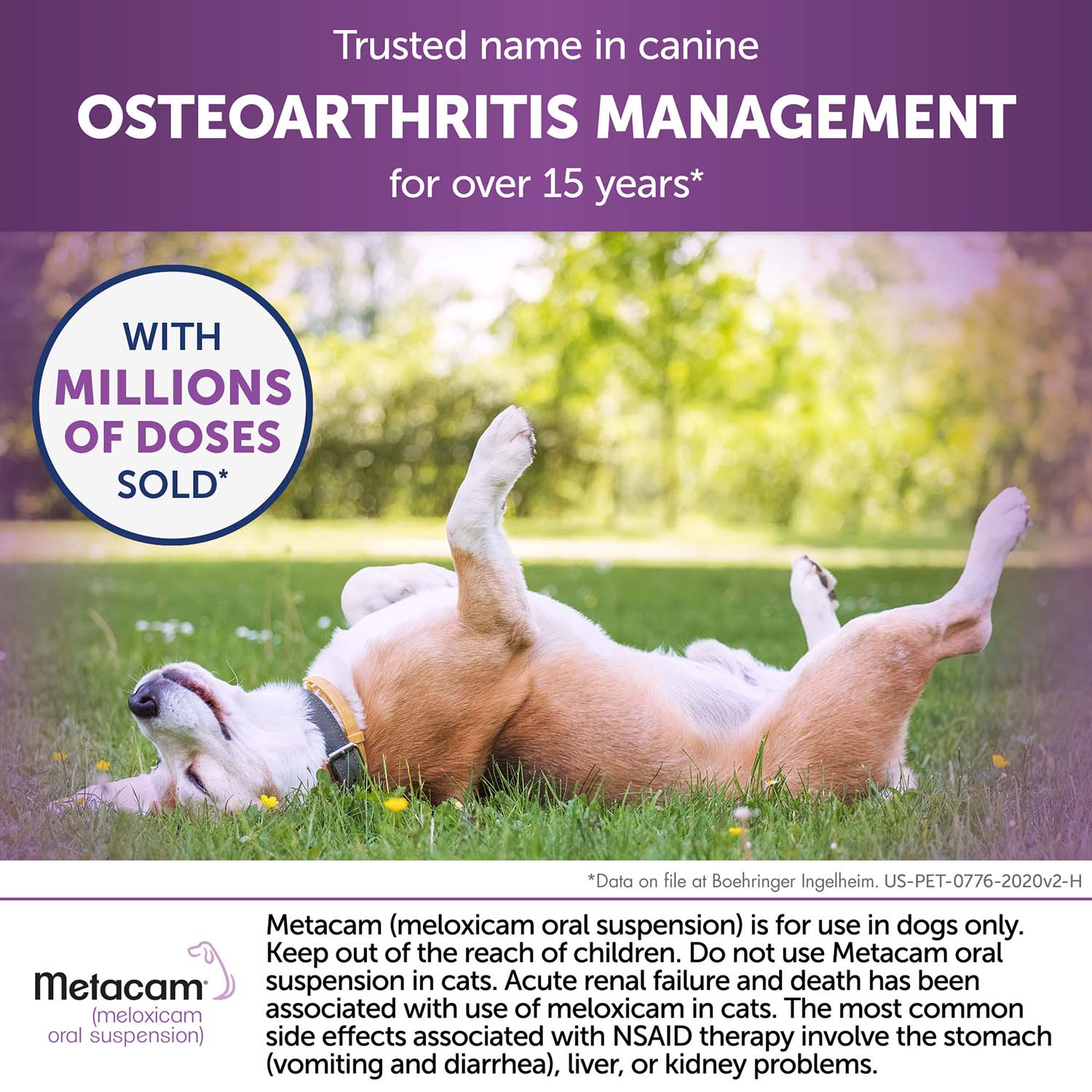 Rx Metacam (meloxicam) Oral Suspension for Dogs - Image 16