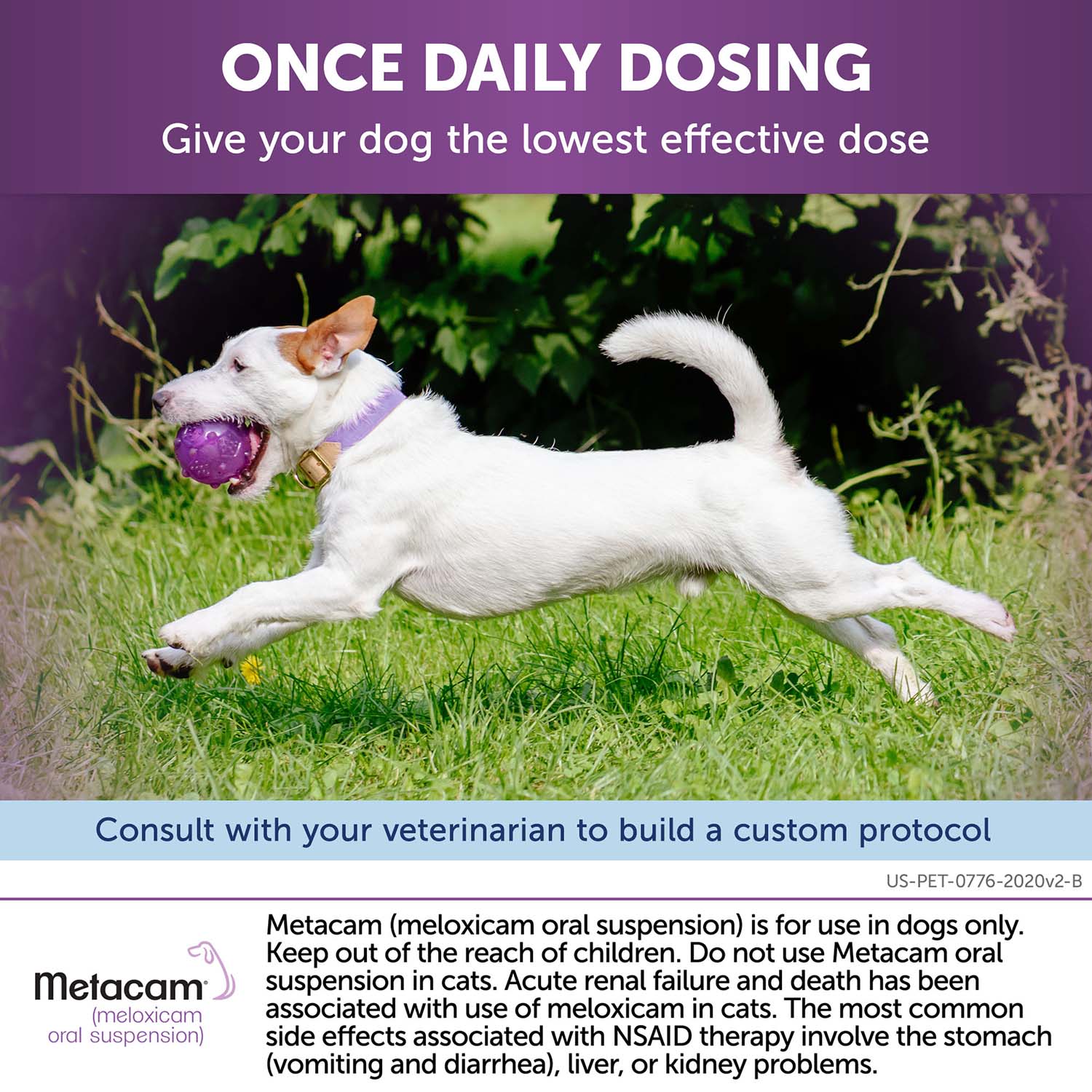 Rx Metacam (meloxicam) Oral Suspension for Dogs - Image 20