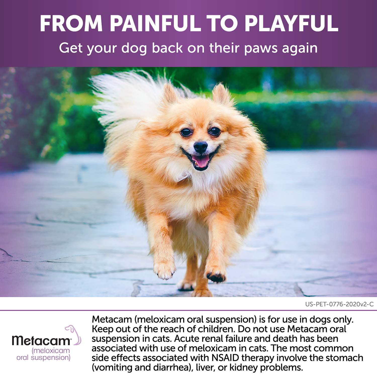 Rx Metacam (meloxicam) Oral Suspension for Dogs - Image 29