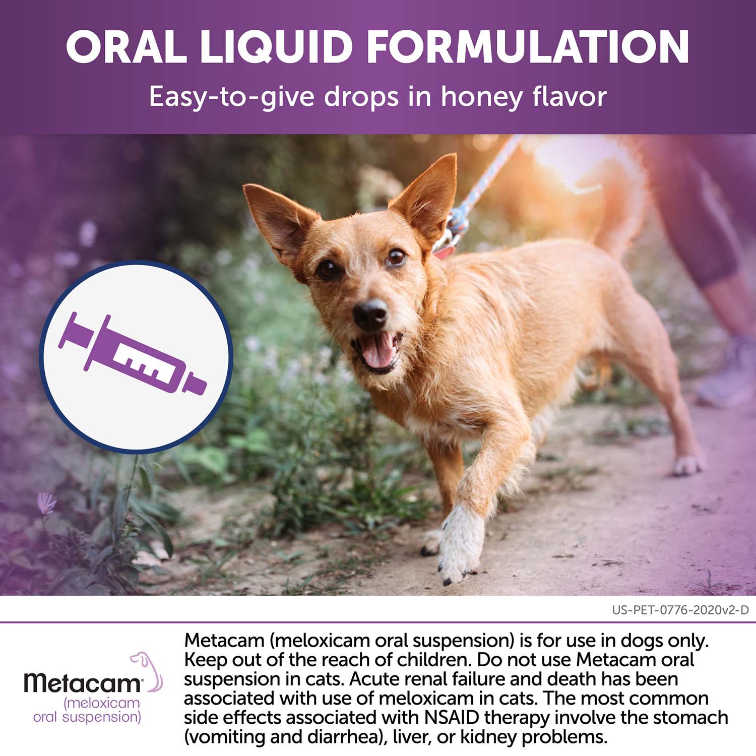 Rx Metacam (meloxicam) Oral Suspension for Dogs - Image 30