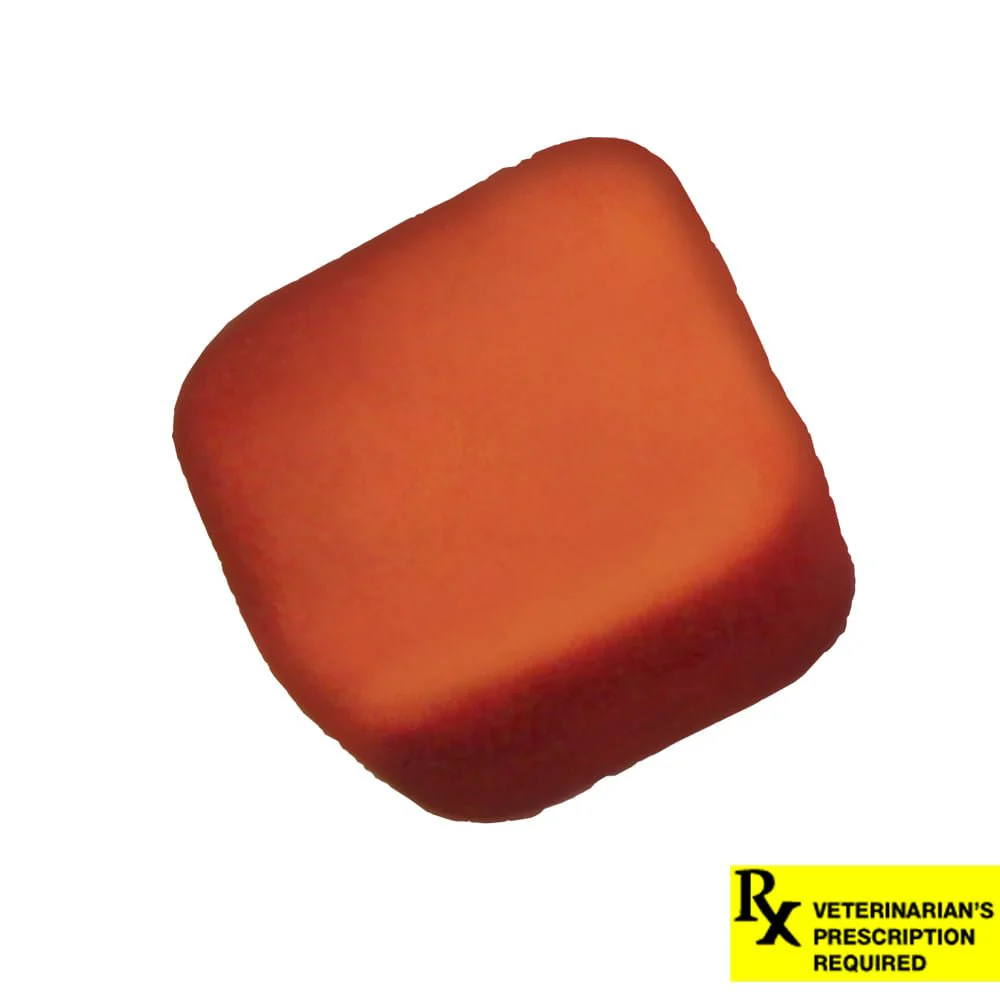 Rx NexGard Flea and Tick Chewables for Dogs - Image 18