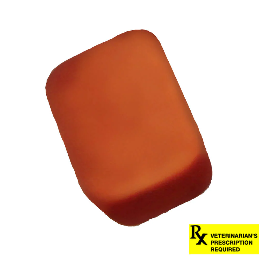 Rx NexGard Flea and Tick Chewables for Dogs - Image 23