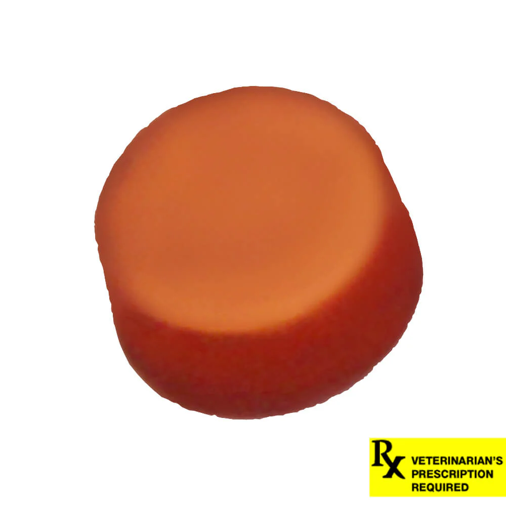 Rx NexGard Flea and Tick Chewables for Dogs - Image 28