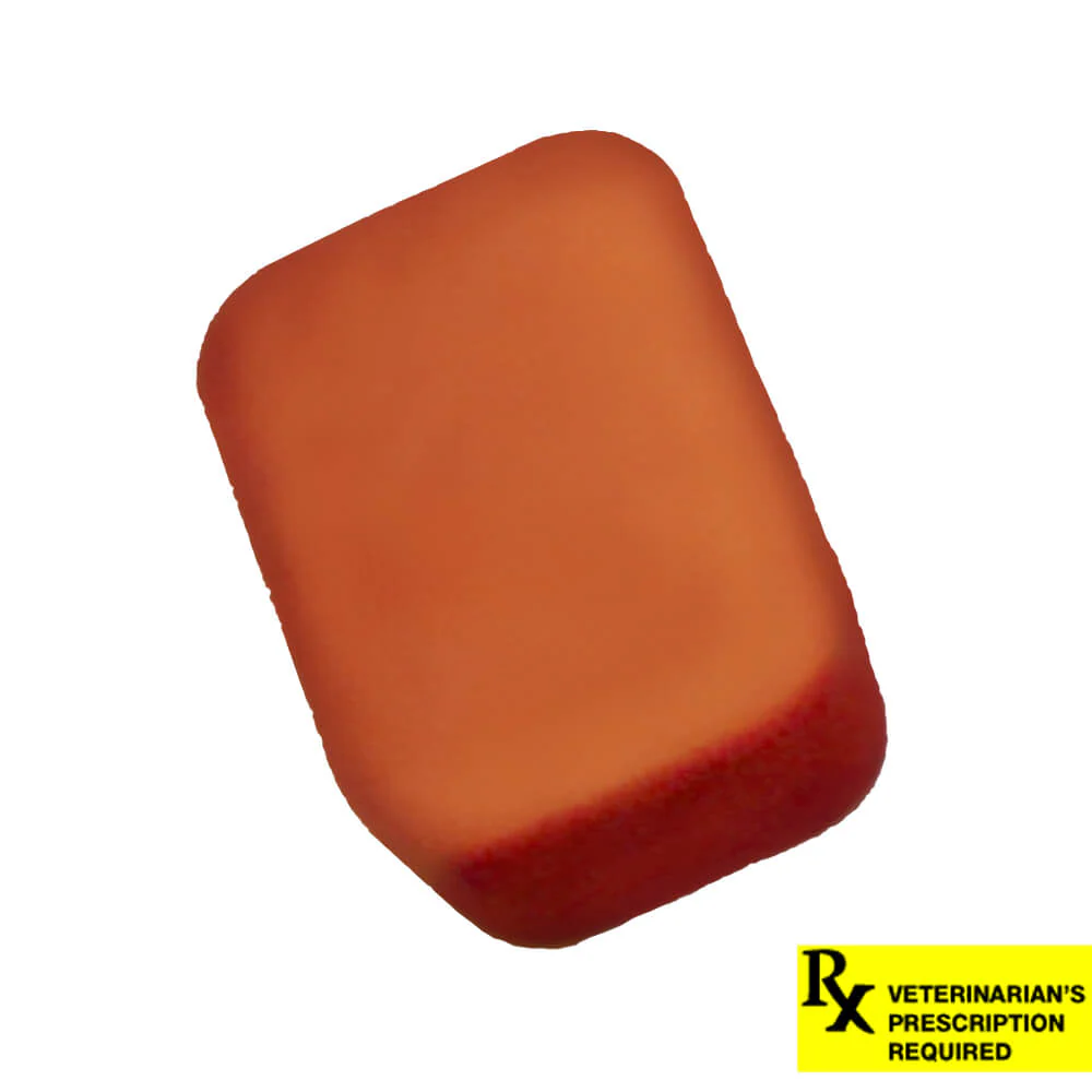 Rx NexGard Flea and Tick Chewables for Dogs - Image 36