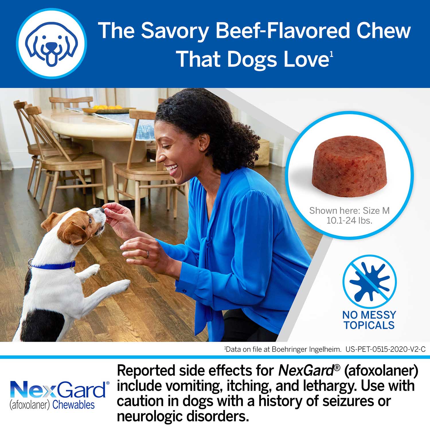Rx NexGard Flea and Tick Chewables for Dogs - Image 6