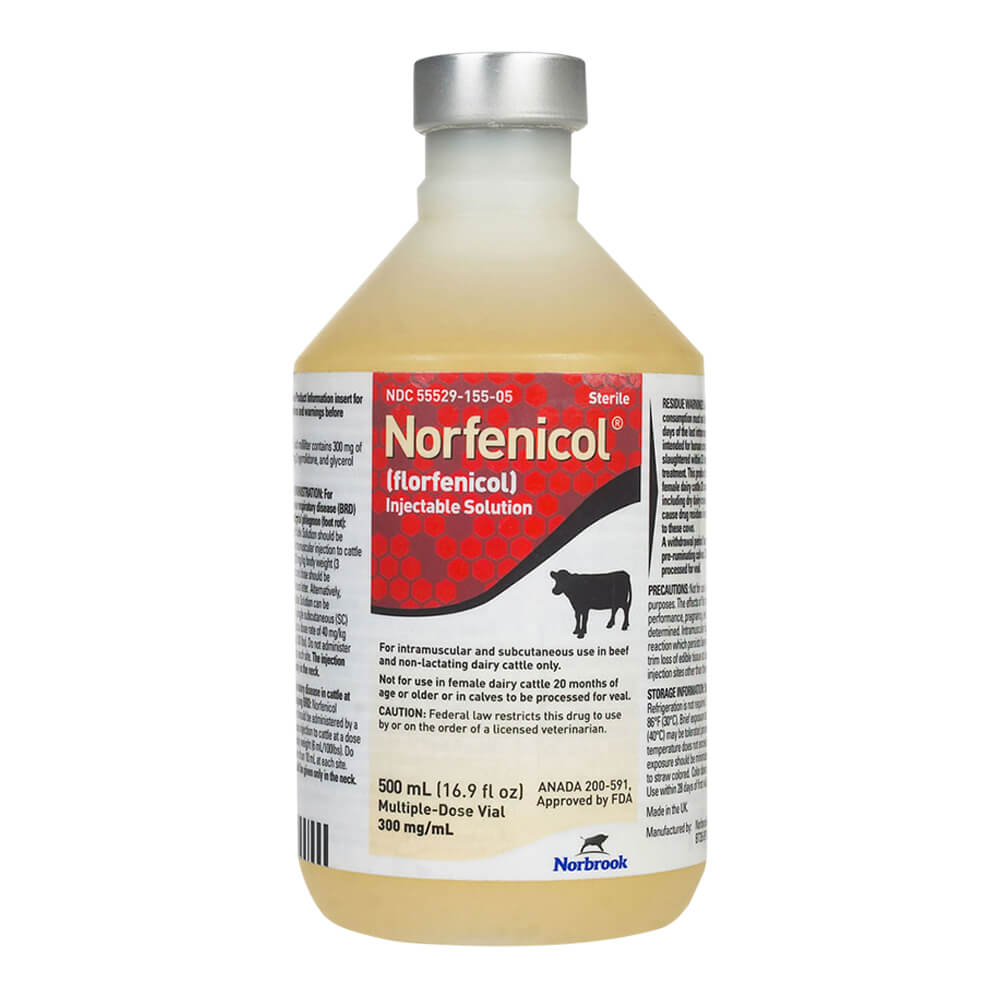 Rx Norfenicol Injectable Solution – Florfenicol Antibiotic for Cattle, BRD & Foot Rot Treatment