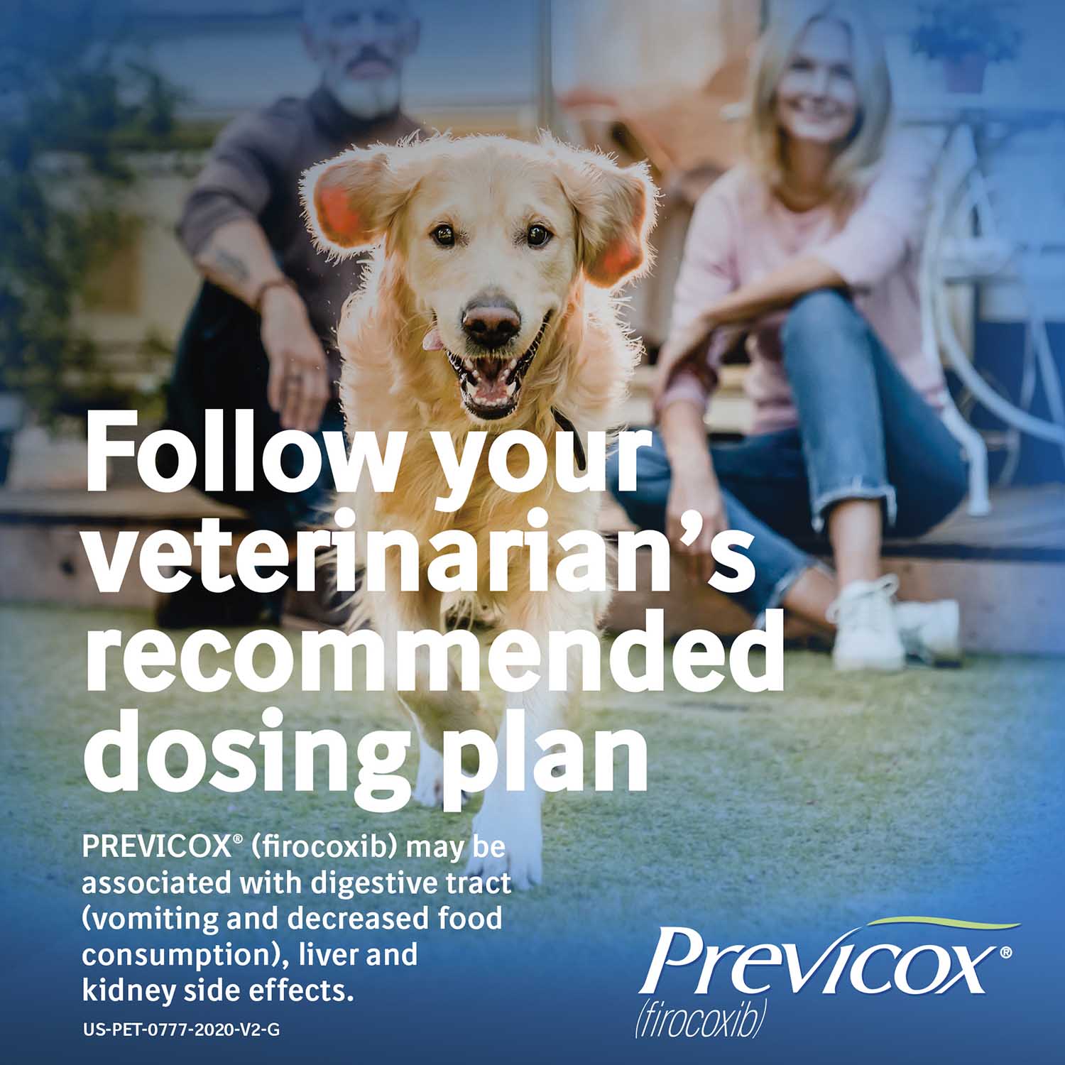 Rx Previcox (firocoxib) Chew Tabs for Dogs - Image 32