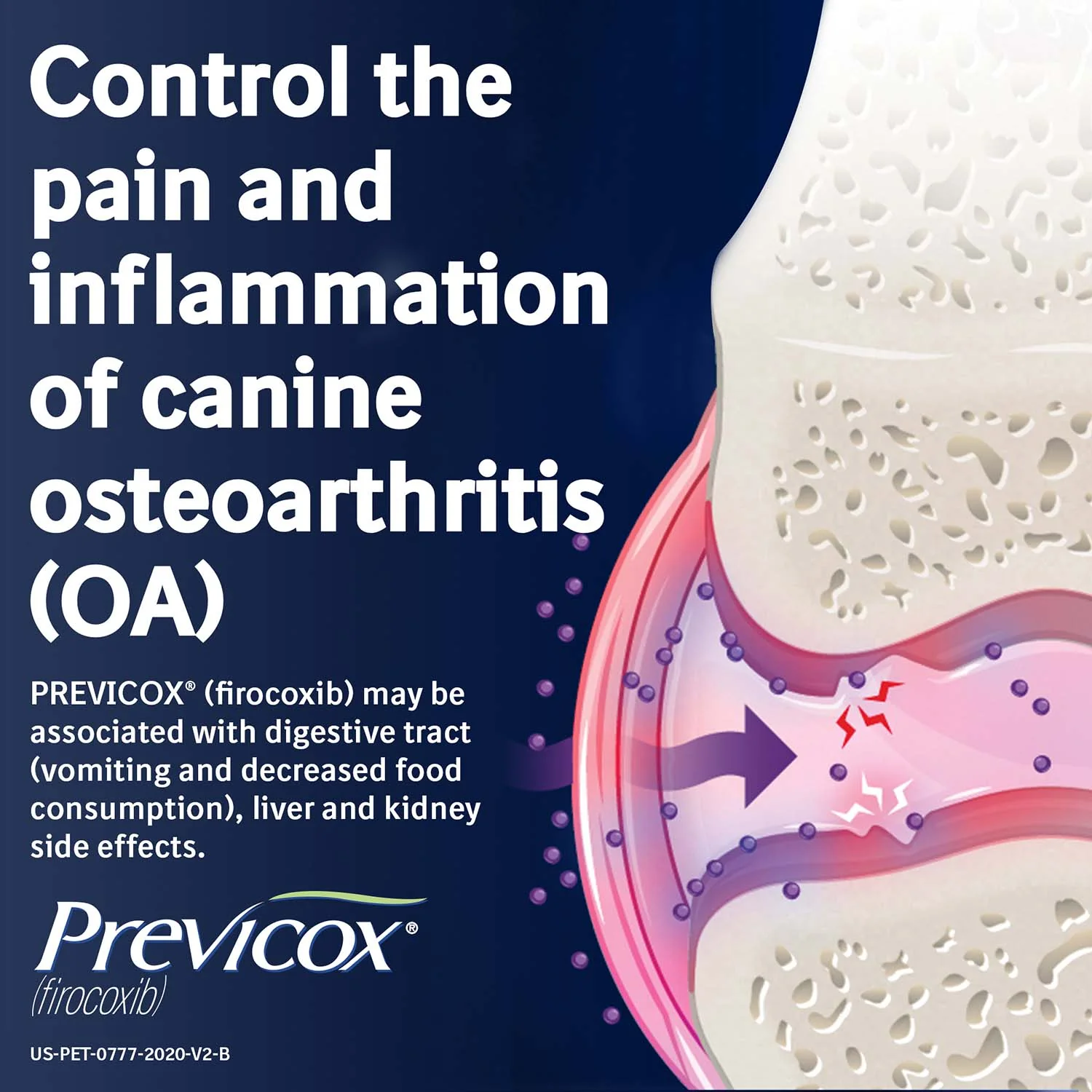 Rx Previcox (firocoxib) Chew Tabs for Dogs - Image 38
