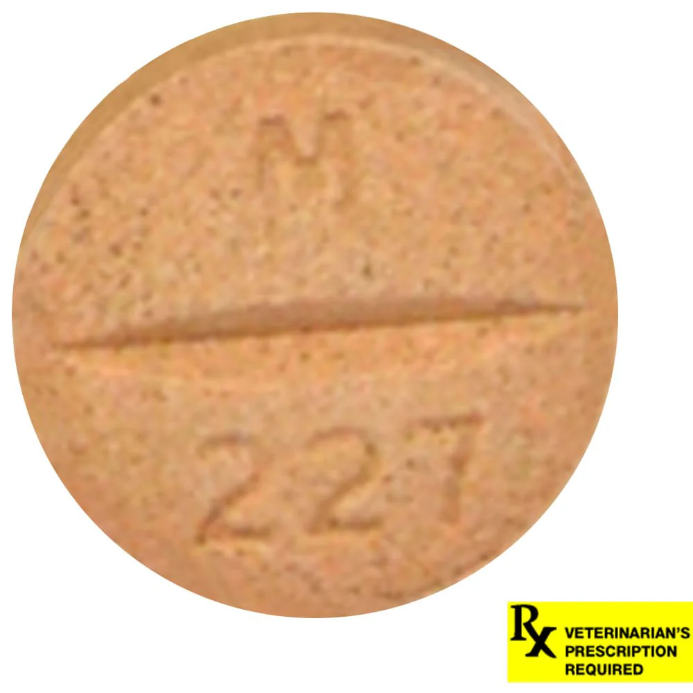 Rx Previcox (firocoxib) Chew Tabs for Dogs - Image 4