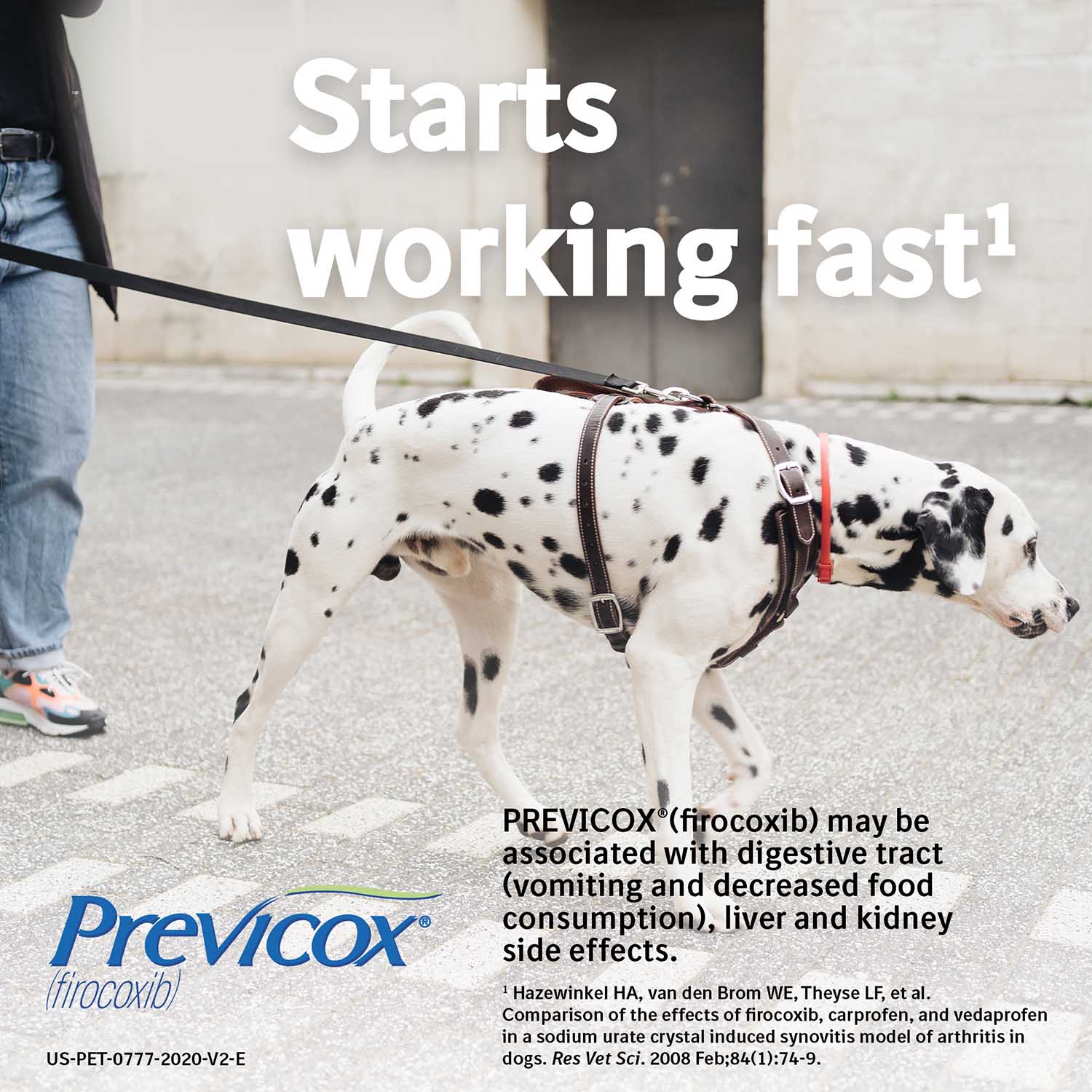 Rx Previcox (firocoxib) Chew Tabs for Dogs - Image 9