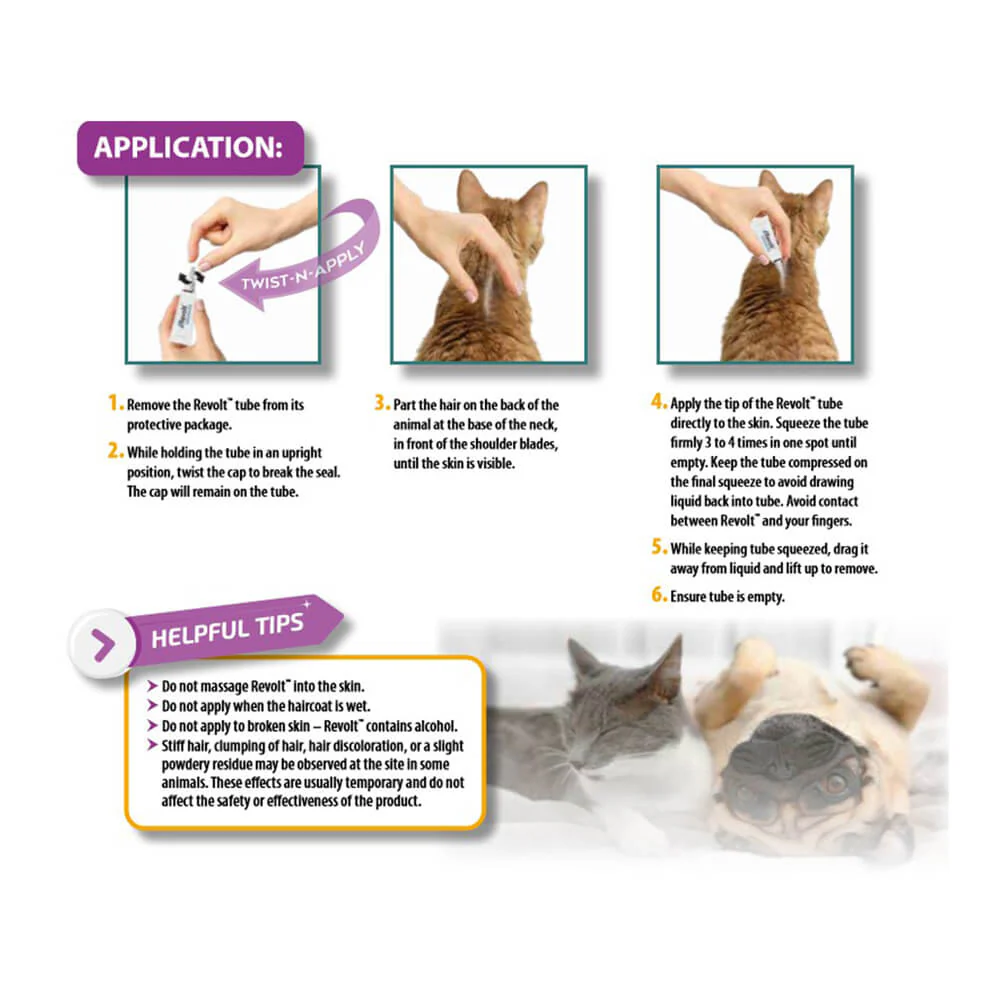 Rx Revolt (Selamectin) for Puppies & Kittens, 0-5 lbs - Image 5