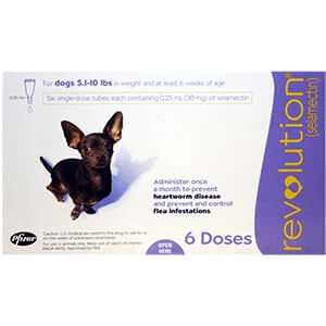 Rx Revolution (selamectin) Canine Once-a-month Flea Topical for Dogs - Image 12
