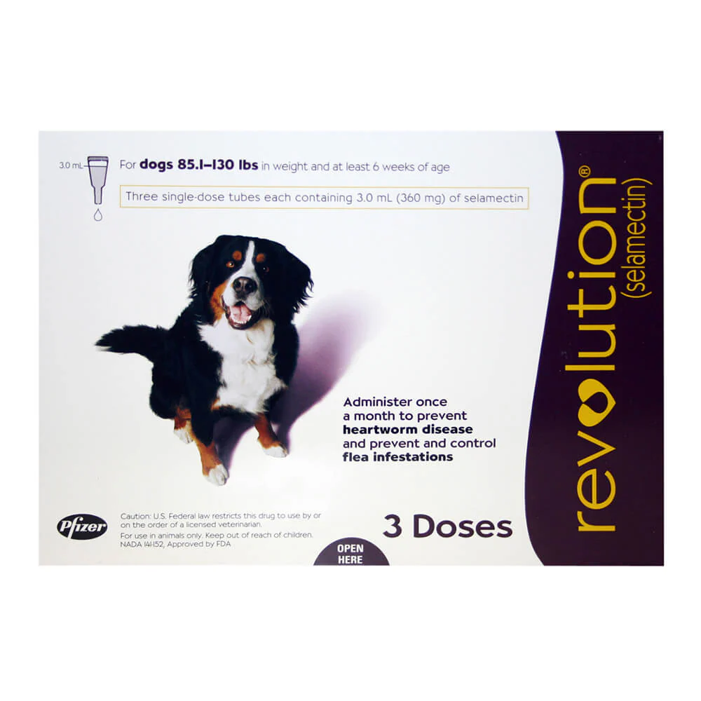 Rx Revolution (selamectin) Canine Once-a-month Flea Topical for Dogs - Image 13