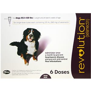 Rx Revolution (selamectin) Canine Once-a-month Flea Topical for Dogs - Image 14