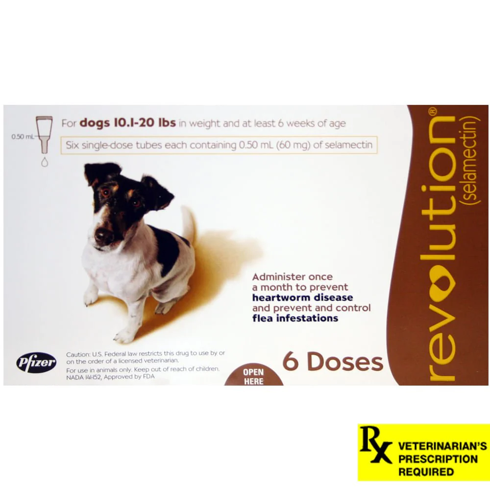 Rx Revolution (selamectin) Canine Once-a-month Flea Topical for Dogs - Image 3