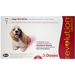 Rx Revolution (selamectin) Canine Once-a-month Flea Topical for Dogs - Image 5