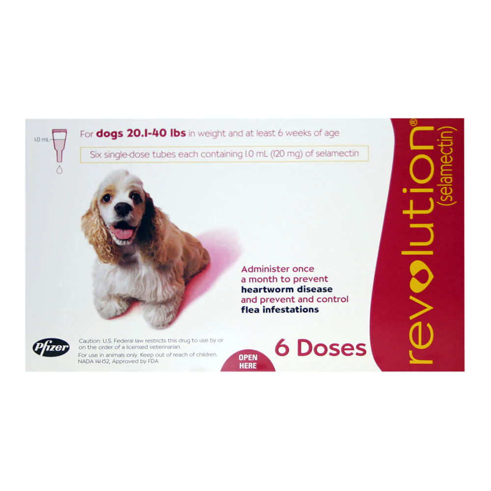 Rx Revolution (selamectin) Canine Once-a-month Flea Topical for Dogs - Image 6