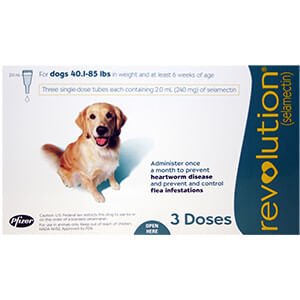 Rx Revolution (selamectin) Canine Once-a-month Flea Topical for Dogs - Image 8
