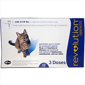 Rx Revolution (selamectin) Feline Once-a-month Flea Topical for Cats - Image 4