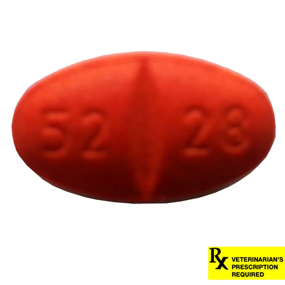 Rx Simplicef Tablets for Dogs