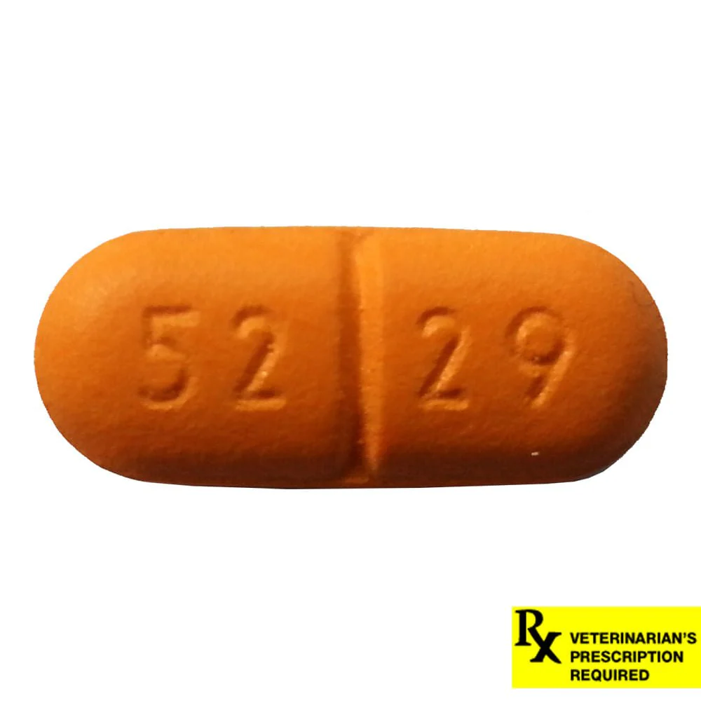 Rx Simplicef Tablets for Dogs - Image 5