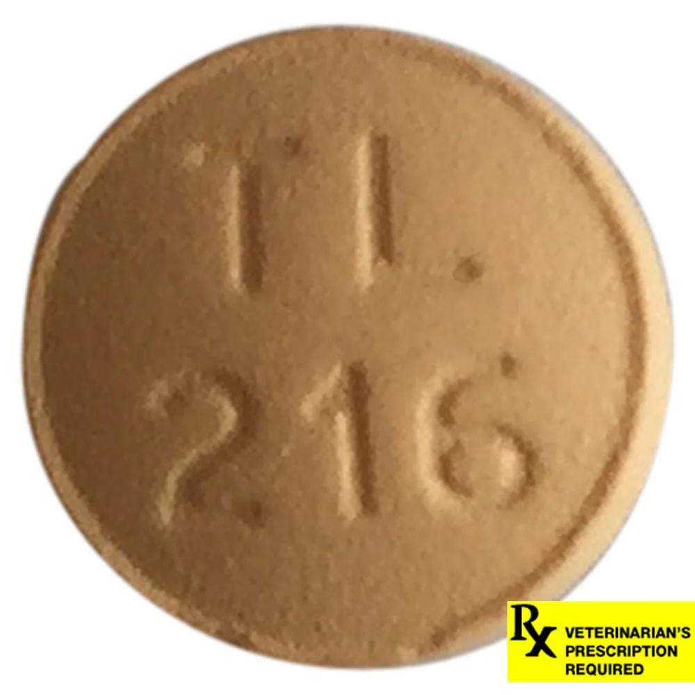 Rx Spironolactone (Generic) Tablets for Cats & Dogs - Image 3