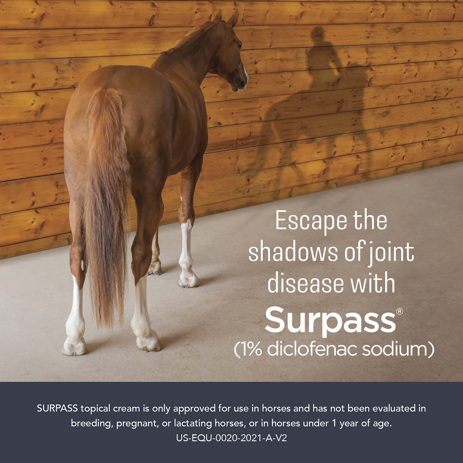 Rx Surpass (1% diclofenac sodium) Topical Cream for Horses, 124 gm/1 Tube - Image 2