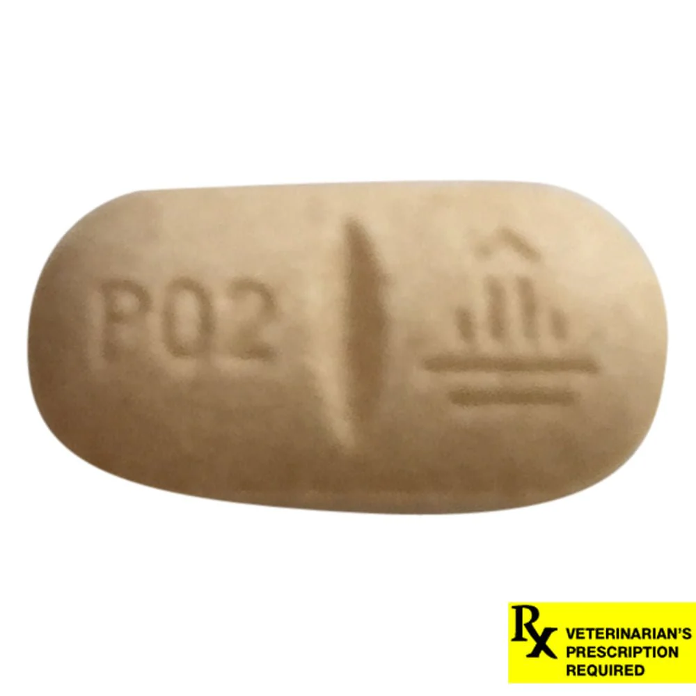 Rx Vetmedin (pimobendan) Chewable Tablets for Dogs - Image 13