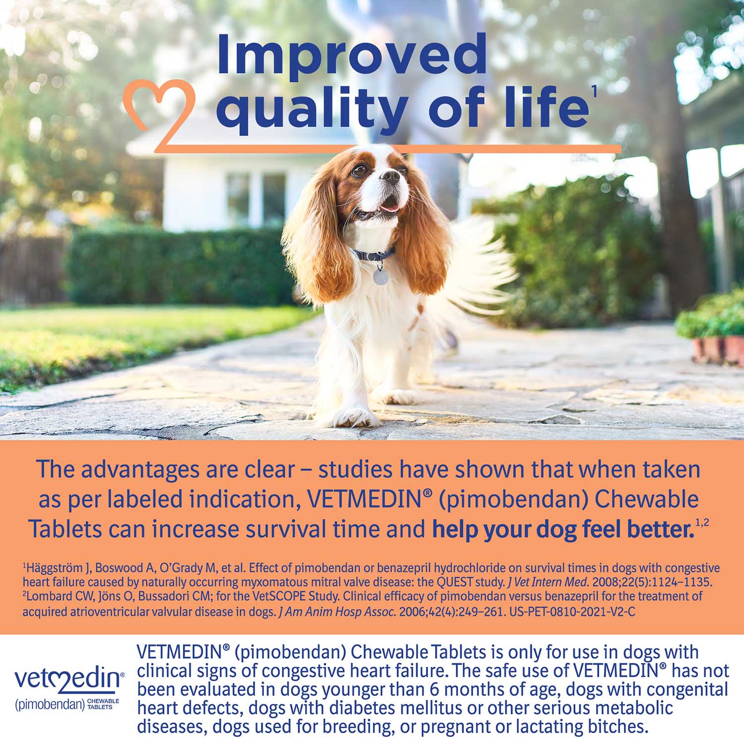 Rx Vetmedin (pimobendan) Chewable Tablets for Dogs - Image 4