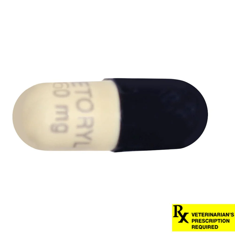 Rx Vetoryl (trilostane) Capsules for Dogs - Image 12