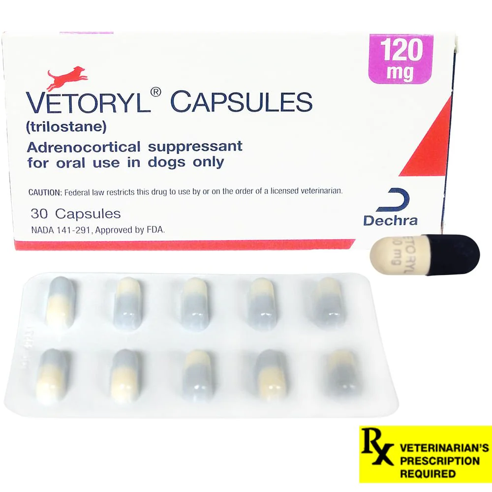 Rx Vetoryl (trilostane) Capsules for Dogs - Image 5