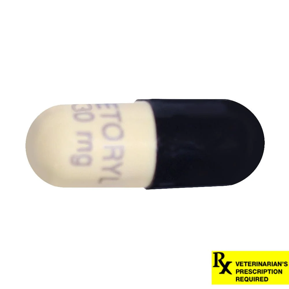 Rx Vetoryl (trilostane) Capsules for Dogs - Image 7