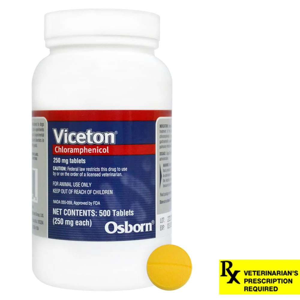 Rx Chloramphenicol (Generic) Tablets for Dogs - Image 2
